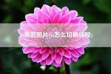 ai裁剪图片(ai怎么切割线段)