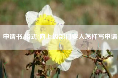申请书 格式(向上级部门要人怎样写申请)