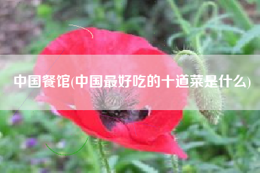 中国餐馆(中国最好吃的十道菜是什么)
