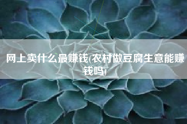 网上卖什么最赚钱(农村做豆腐生意能赚钱吗)