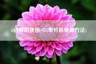 if函数的使用(if51单片机使用方法)