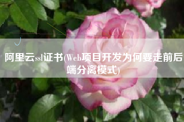 阿里云ssl证书(Web项目开发为何要走前后端分离模式)