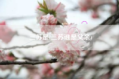 三苏是(三苏谁是父亲)