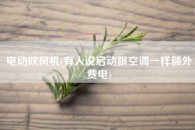 电动吹风机(有人说启动跟空调一样额外费电)