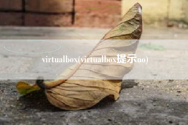 详细阅读:virtualbox(virtualbox提示no) virtualbox(virtualbox提示no)