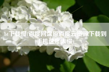 bt下载慢(百度网盘原百度云资源下载到手机速度太慢)