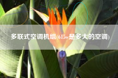 多联式空调机组(615w是多大的空调)