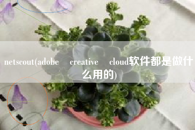 netscout(adobe creative cloud软件都是做什么用的)