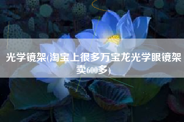 光学镜架(淘宝上很多万宝龙光学眼镜架卖600多)