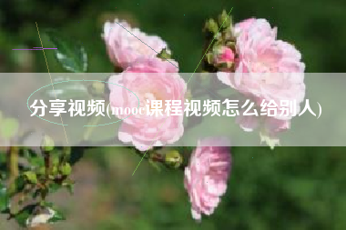 分享视频(mooc课程视频怎么给别人)