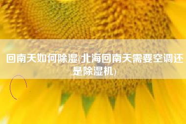 回南天如何除湿(北海回南天需要空调还是除湿机)