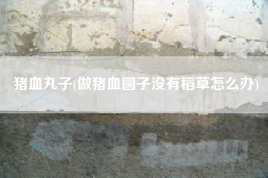 猪血丸子(做猪血圆子没有稻草怎么办)