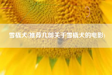 雪橇犬(推荐几部关于雪橇犬的电影)