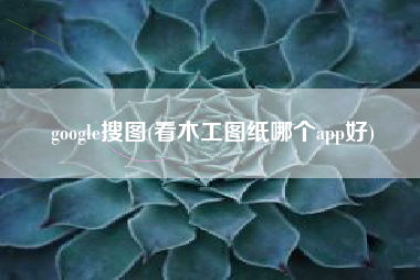 google搜图(看木工图纸哪个app好)