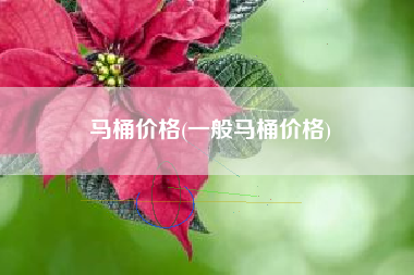 马桶价格(一般马桶价格)