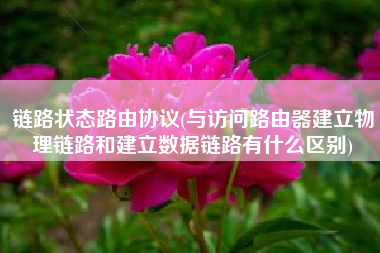 链路状态路由协议(与访问路由器建立物理链路和建立数据链路有什么区别)