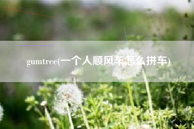 gumtree(一个人顺风车怎么拼车)