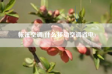 帐篷空调(什么移动空调省电)