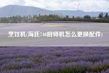 烹饪机(海氏740厨师机怎么更换配件)