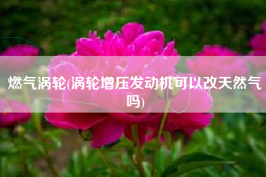 燃气涡轮(涡轮增压发动机可以改天然气吗)