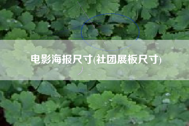 电影海报尺寸(社团展板尺寸)