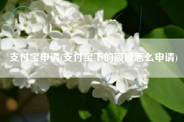 支付宝申请(支付宝下的额度怎么申请)