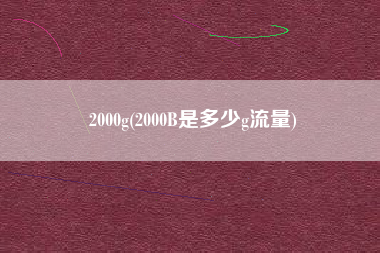 2000g(2000B是多少g流量)