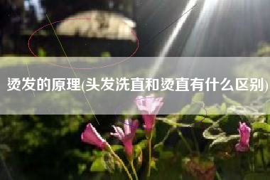烫发的原理(头发洗直和烫直有什么区别)