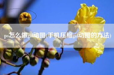 ps怎么做gif动图(手机压缩gif动图的方法)