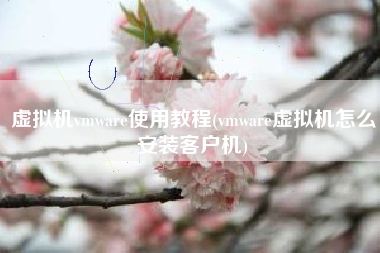 虚拟机vmware使用教程(vmware虚拟机怎么安装客户机)