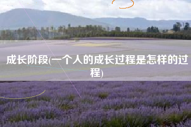 成长阶段(一个人的成长过程是怎样的过程)