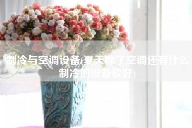 制冷与空调设备(夏天除了空调还有什么制冷的设备较好)