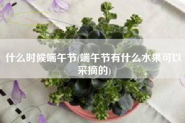 什么时候端午节(端午节有什么水果可以采摘的)