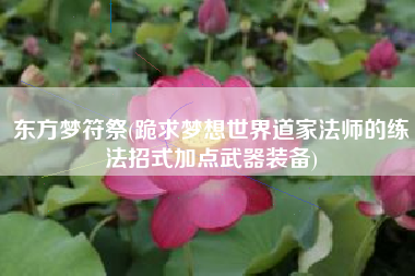 东方梦符祭(跪求梦想世界道家法师的练法招式加点武器装备)