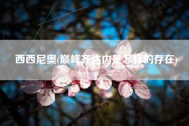 西西尼奥(巅峰齐达内是怎样的存在)
