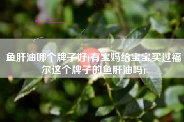 鱼肝油哪个牌子好(有宝妈给宝宝买过福尔这个牌子的鱼肝油吗)