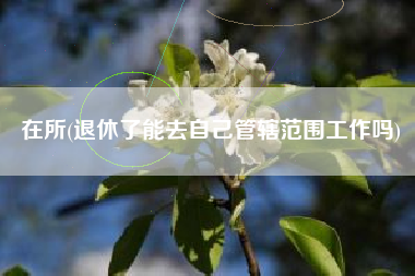 在所(退休了能去自己管辖范围工作吗)