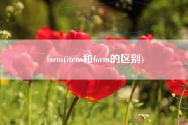 form(item和form的区别)