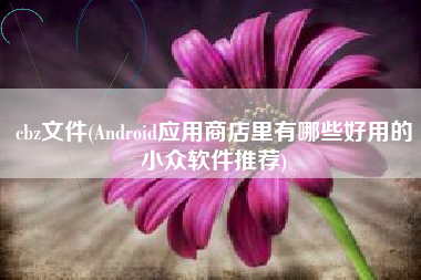cbz文件(Android应用商店里有哪些好用的小众软件推荐)