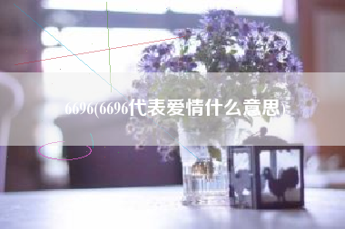 6696(6696代表爱情什么意思)