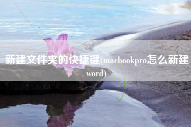 新建文件夹的快捷键(macbookpro怎么新建word)