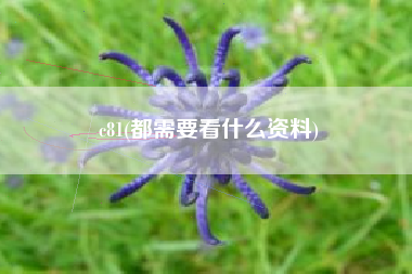 c81(都需要看什么资料)