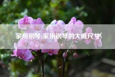 家用钢琴(家用钢琴的大概尺寸)