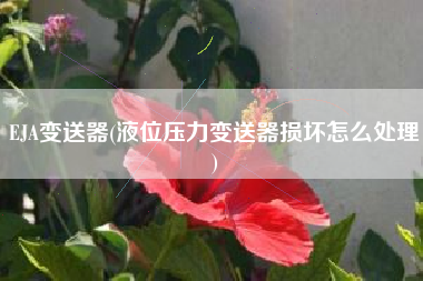 EJA变送器(液位压力变送器损坏怎么处理)