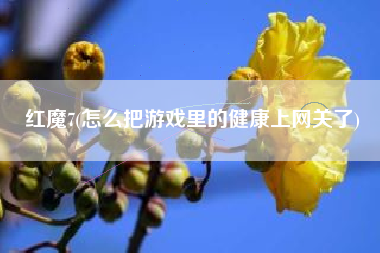 红魔7(怎么把游戏里的健康上网关了)