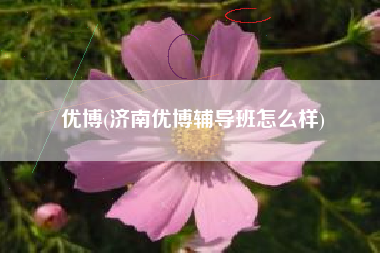 优博(济南优博辅导班怎么样)