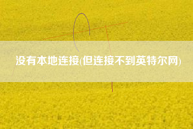 没有本地连接(但连接不到英特尔网)