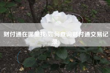 财付通在哪里找(如何查询财付通交易记录)