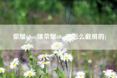 荣耀60se(曝荣耀60se是怎么截屏的)