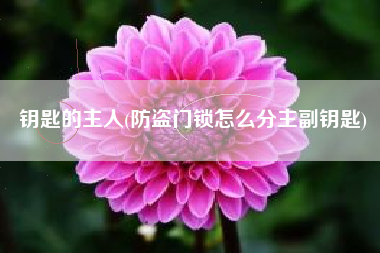 钥匙的主人(防盗门锁怎么分主副钥匙)
